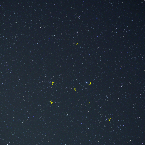 93359 変光星へび座R (230423) by alphavir 天体写真ギャラリー