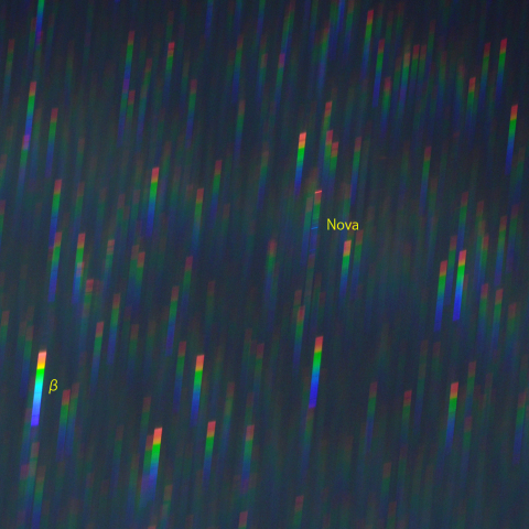 カシオペヤ座新星のスペクトル (5月15日)