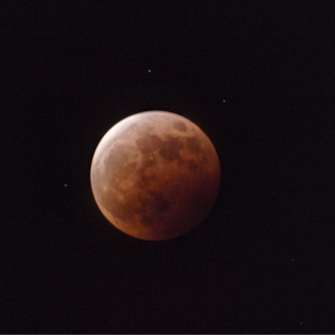 皆既月食 (5月26日)