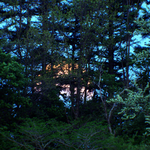 月出帯食 (5月26日)