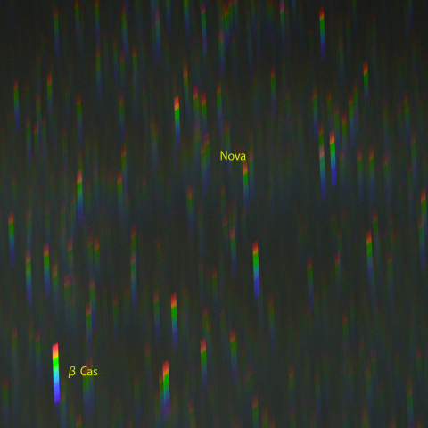 カシオペヤ座新星のスペクトル (6月7日)