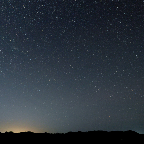 M31をかすめる流星