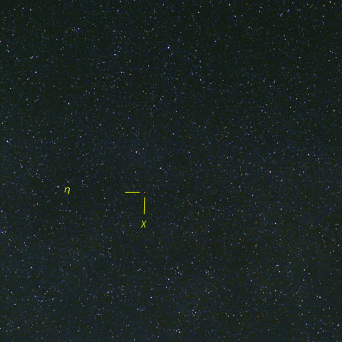 はくちょう座χ (6月10日)