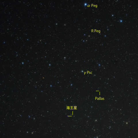 海王星と小惑星パラス