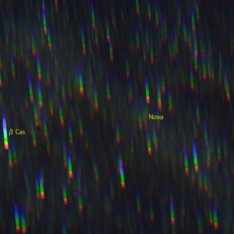 カシオペヤ座新星のスペクトル (9月14日)