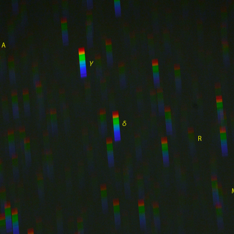 ミラのスペクトル (9月14日)