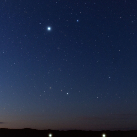 暁天のおおいぬ座