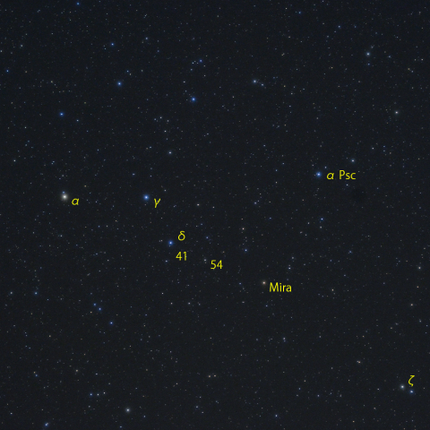 くじら座頭部とミラ