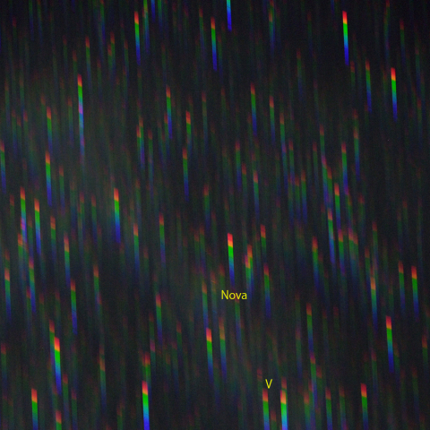 カシオペヤ座新星付近のスペクトル (10月11日)