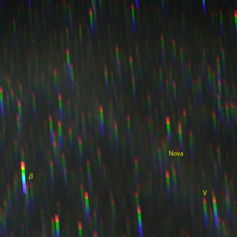 カシオペヤ座新星付近のスペクトル (10月25日)