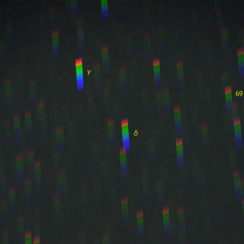 変光星ミラ周辺のスペクトル (10月29日)