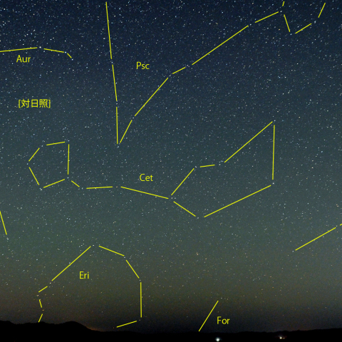 昇る秋の星座と対日照