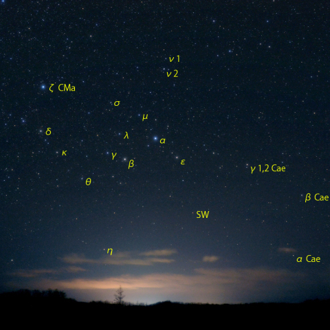 はと座とその周辺