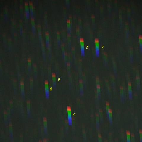 こうま座のスペクトル