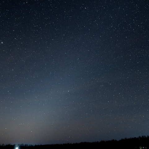 東天の黄道光 (12月7日)