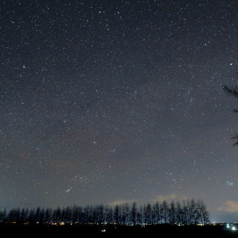 沈む冬の星座と流星