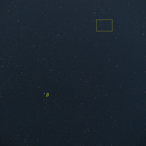 カシオペヤ座新星付近 (1月19日)