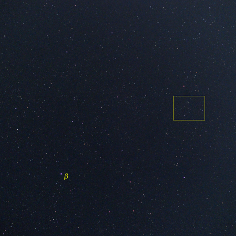 カシオペヤ座新星付近 (1月22日)