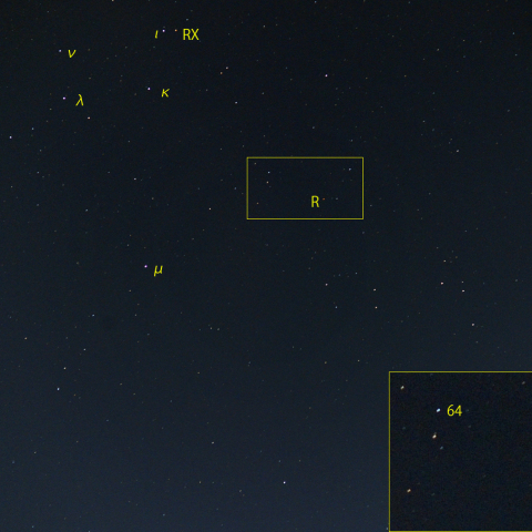 変光星うさぎ座R