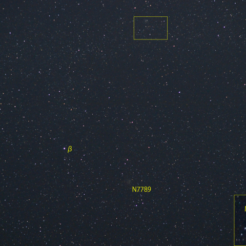 カシオペヤ座新星付近 (2月1日)