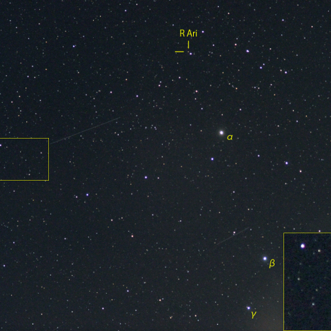 おひつじ座Rと19Pボレリー彗星