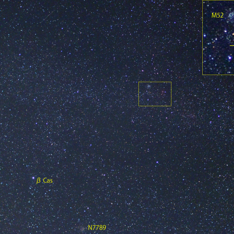 カシオペヤ座新星付近 (3月29日)
