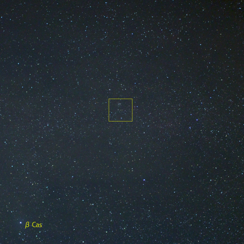 カシオペヤ座新星付近 (22-06-25)