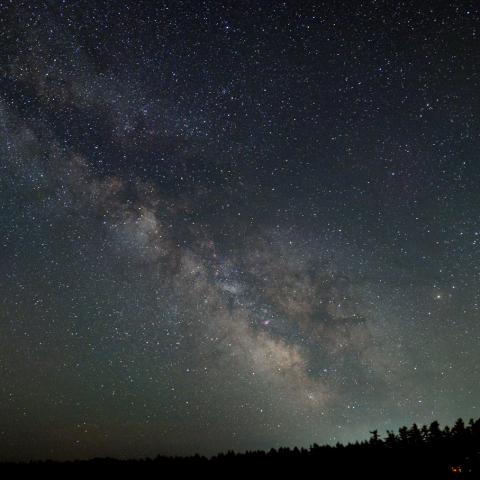  防風林と天の川中心部