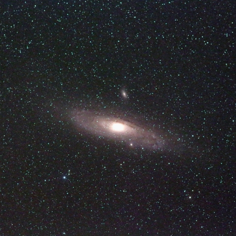 M31