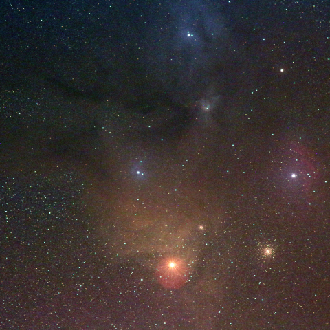 アンタレス周辺の星野