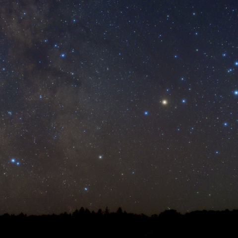 横たわるさそり