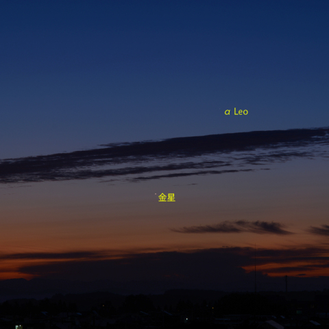 金星とレグルス (22-09-08)