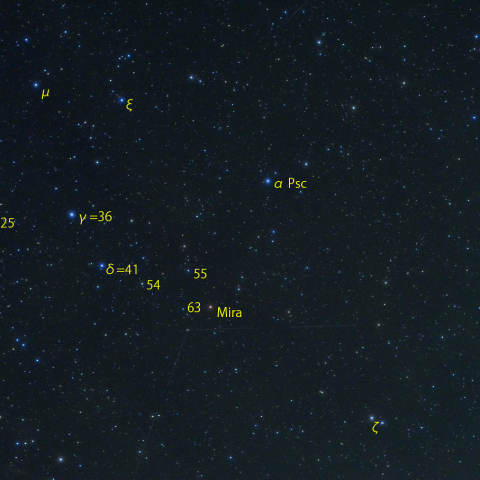 くじら座頭部とミラ