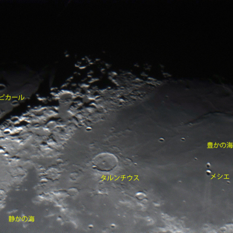 豊かの海から危機の海