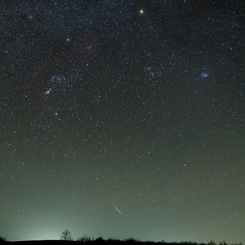 しし座流星群-2 (22-11-23)
