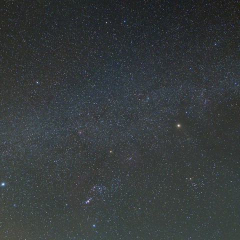 しし座流星群-4 (22-11-23)