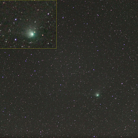 C/2022E3 ZTF彗星 (23-01-31)