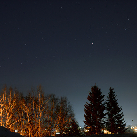 明け方のさそり