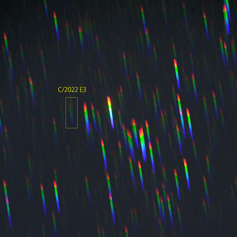 ZTF彗星のスペクトル (23-02-15)