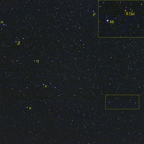 変光星いるか座R (23-04-23)