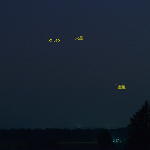 金星と火星、レグルス (23-07-08)