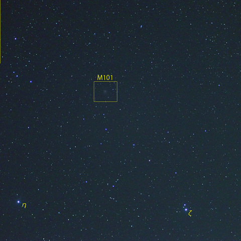 M101の超新星 (23-07-08)