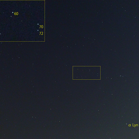 こじし座R (23-07-08)