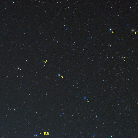 りゅう座主要部