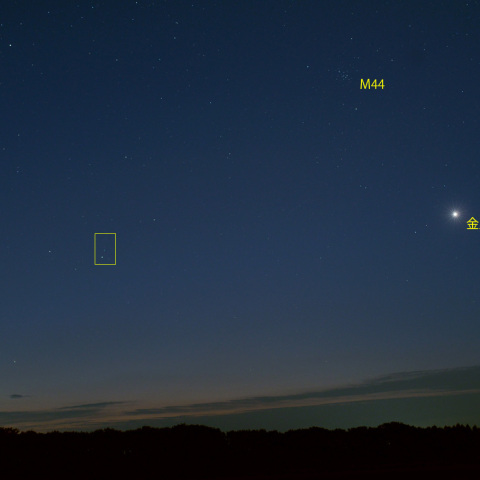 西村彗星と金星 (23-09-07)