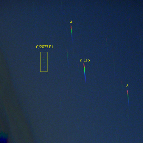 西村彗星のスペクトル (23-09-08)