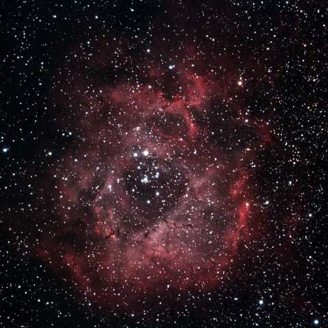 バラ星雲　2014/02/22