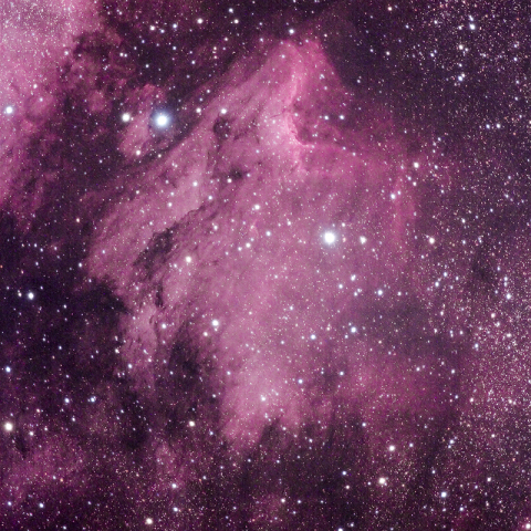 ペリカン星雲　