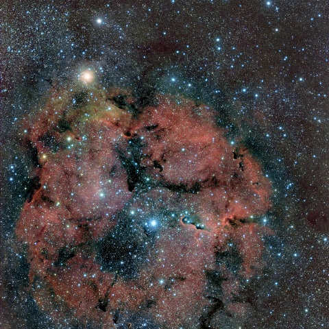 IC1396