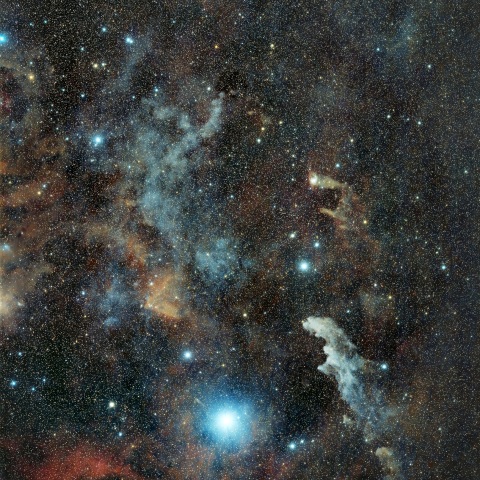 魔女の横顔星雲と周辺の分子雲